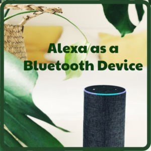 Read more about the article How to use Alexa as a Bluetooth speaker